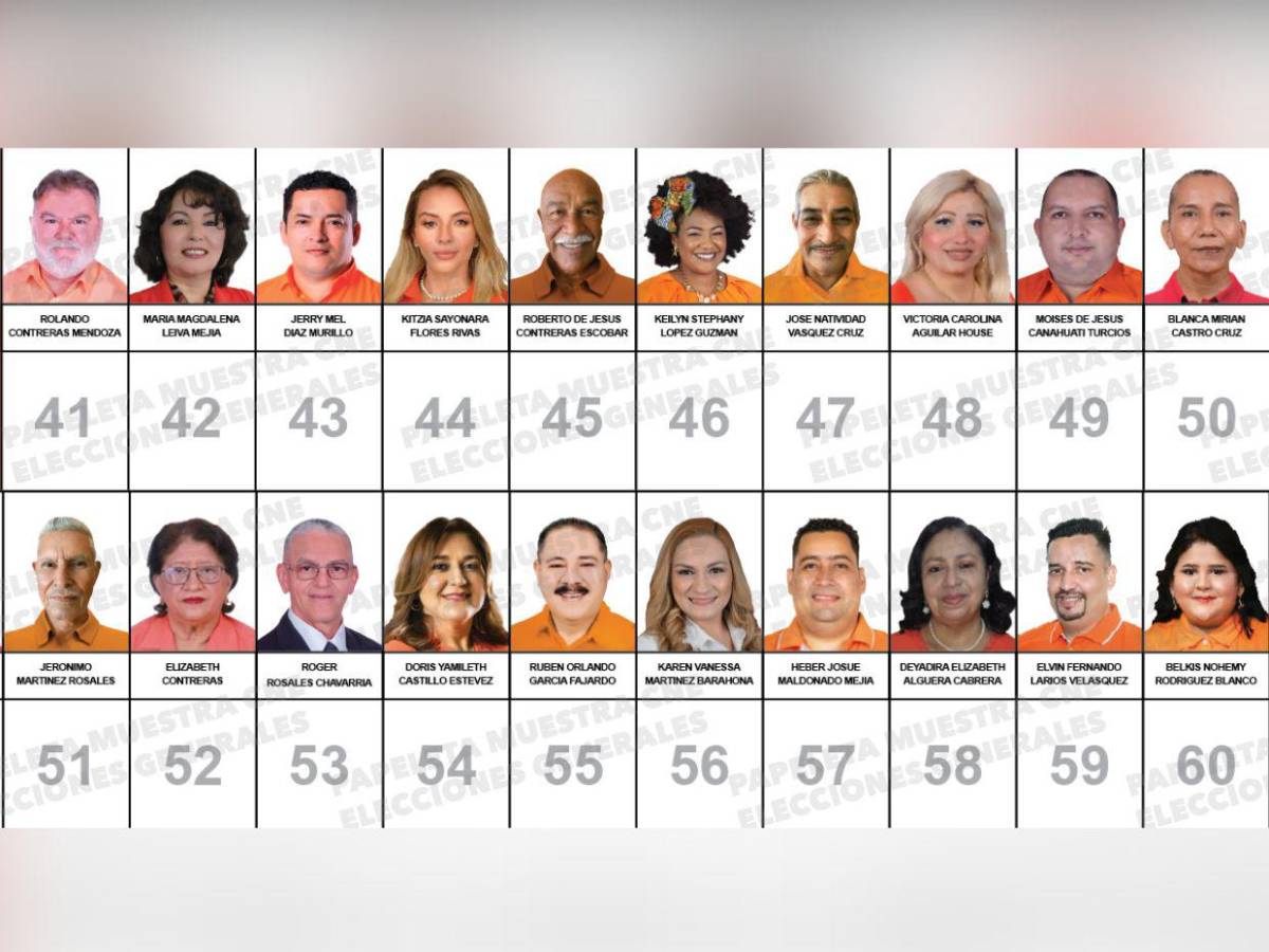 ¿Quiénes son los candidatos a diputados por el PINU-SD, de Nelson Ávila?