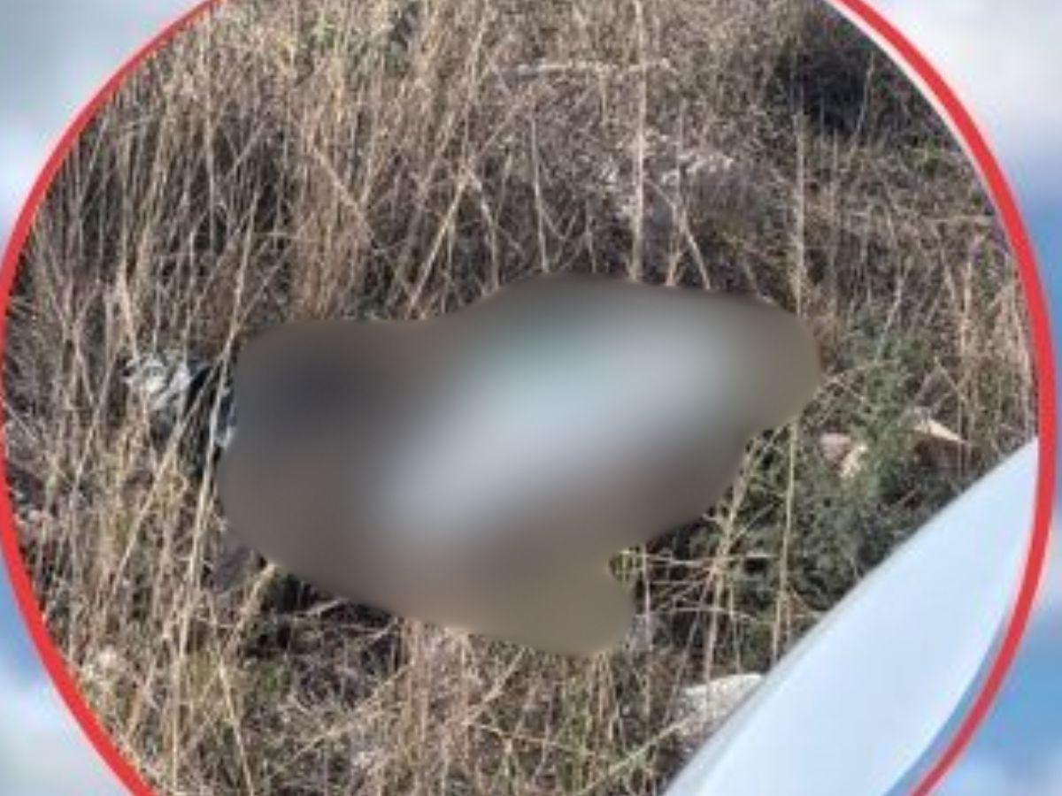 Semiembolsado y entre los matorrales: Así hallaron el cuerpo de Cristopher Cerrato