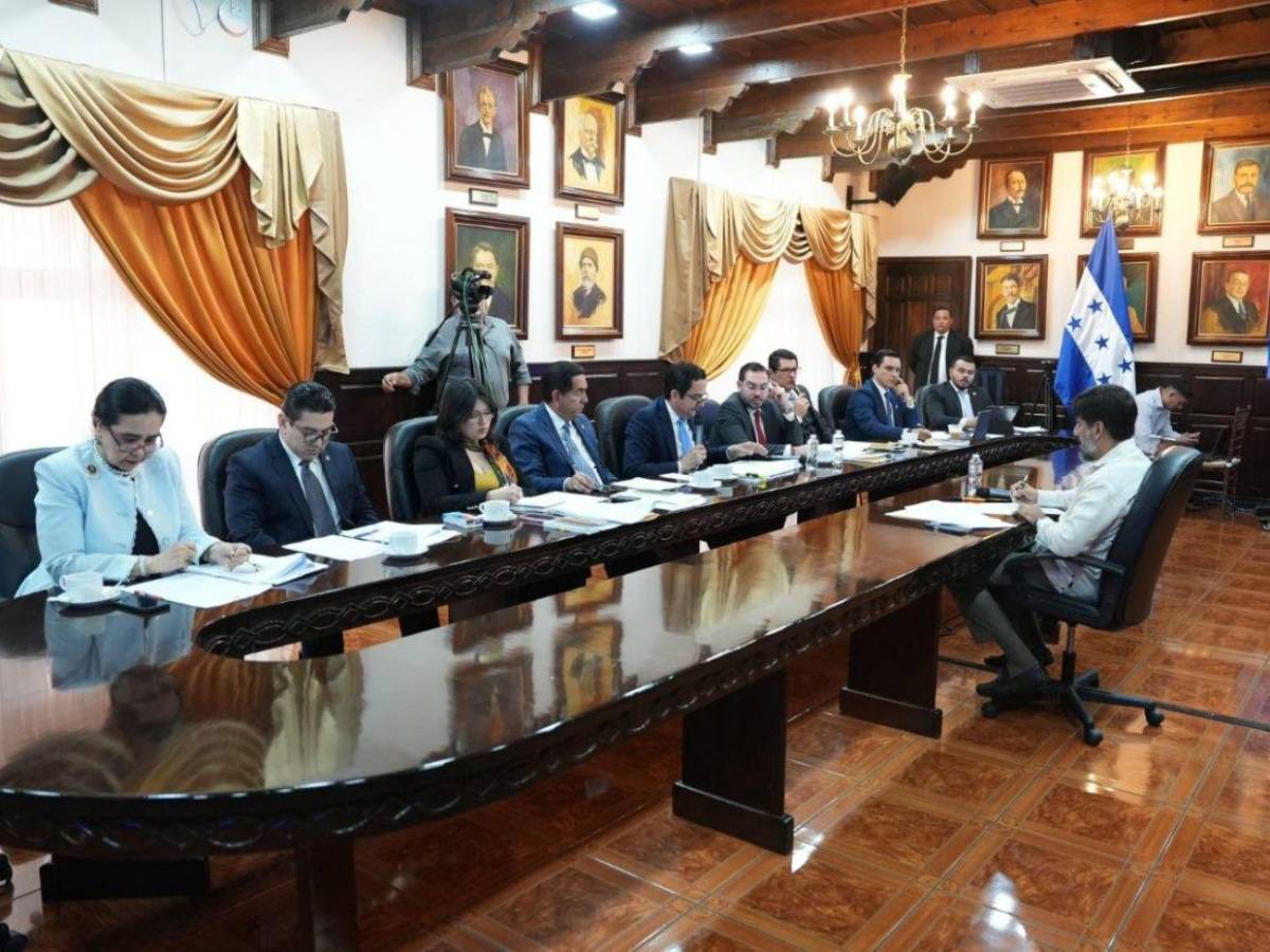 Estos fueron los puntos clave de la comparecencia de Johel Zelaya en el Congreso