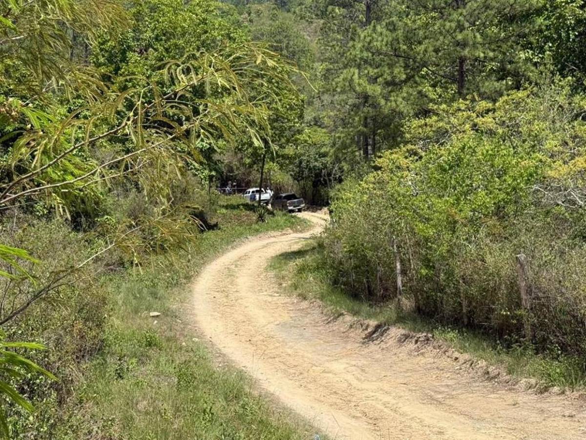 Hallan muerto a cobrador de bus en carretera a Mateo; el tercero en la zona