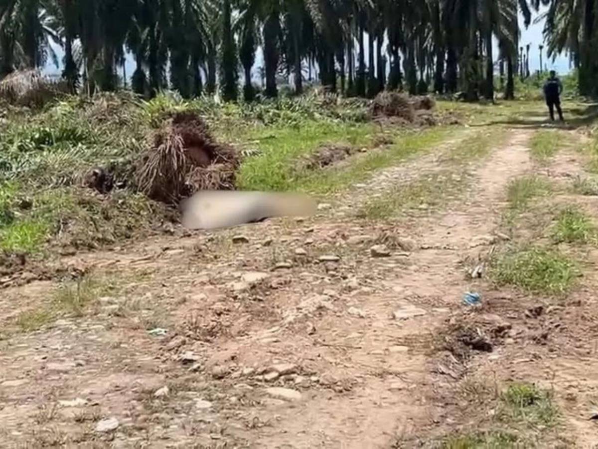 ¿Quiénes eran las tres hermanas muertas tras masacre en Rigores, Trujillo?