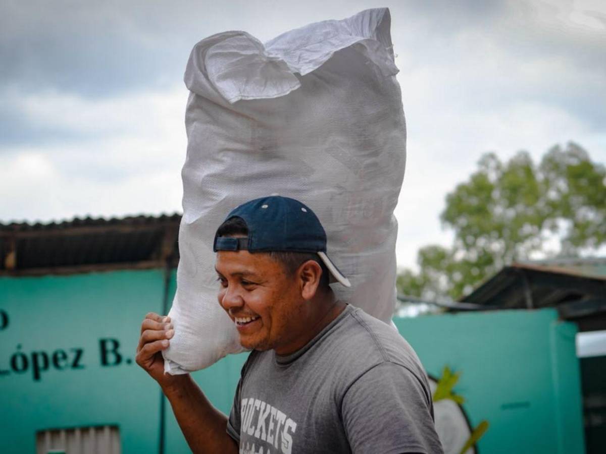 Entre 80 mil y 100 mil sacos: gobierno comienza a distribuir alimentos a zonas afectadas por la sequía