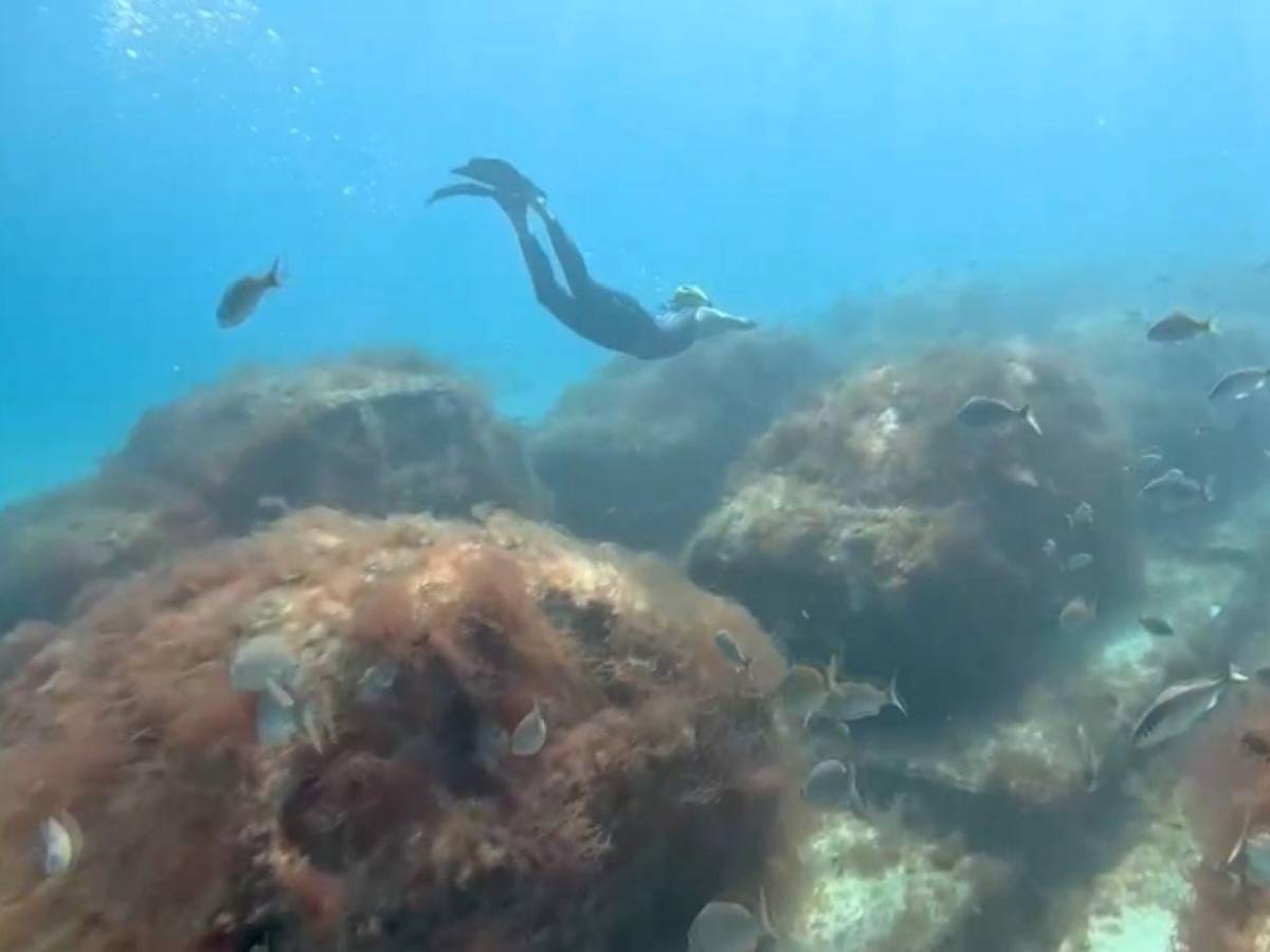 Autopista en la profundidad del mar: Miami Beach sumerge 'vehículos' para atraer fauna