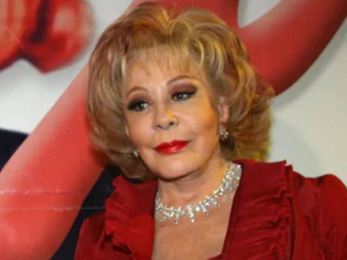 ¿Sin dinero antes de morir? Revelan detalles de la herencia de Silvia Pinal