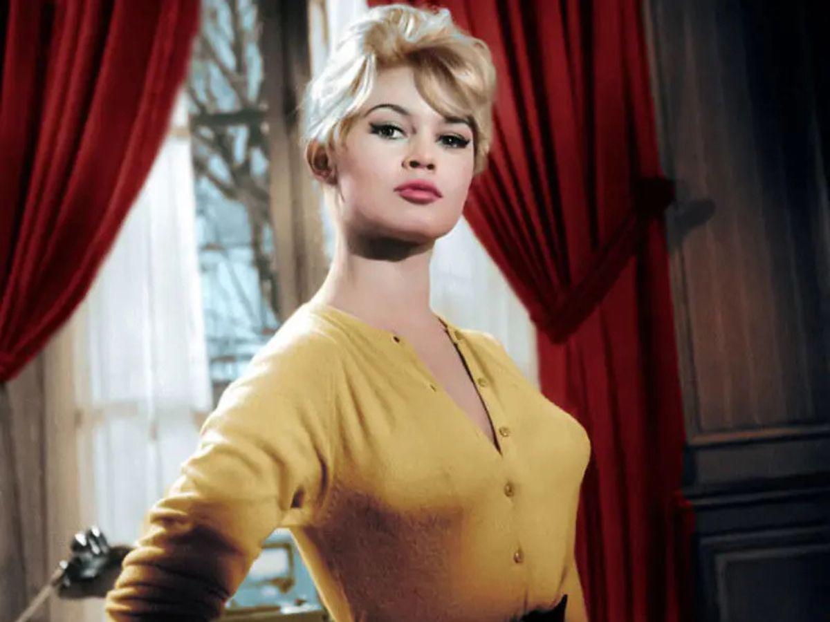 Antes y después de Brigitte Bardot: del ícono del cine a defensora de los animales