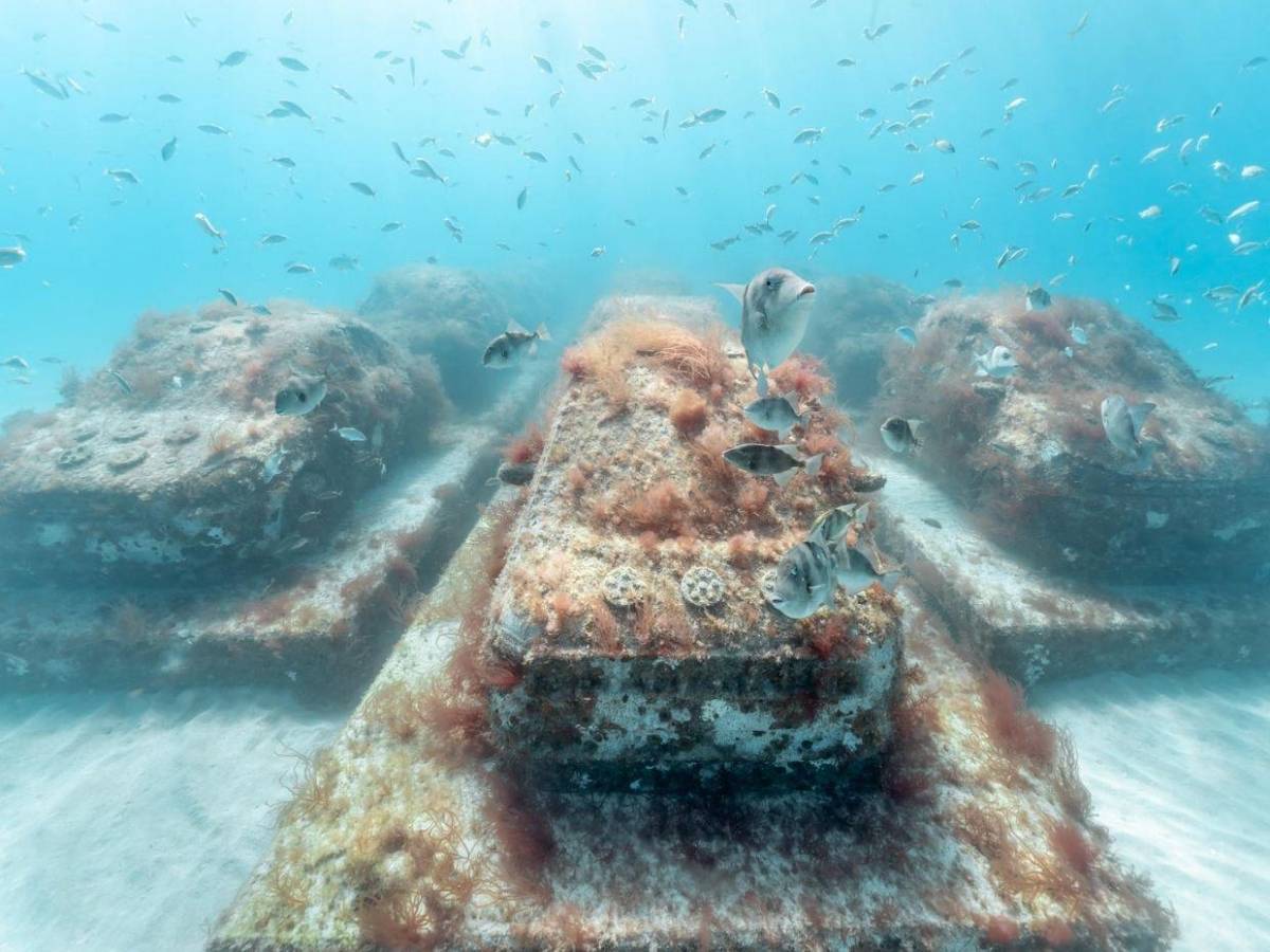 Autopista en la profundidad del mar: Miami Beach sumerge 'vehículos' para atraer fauna
