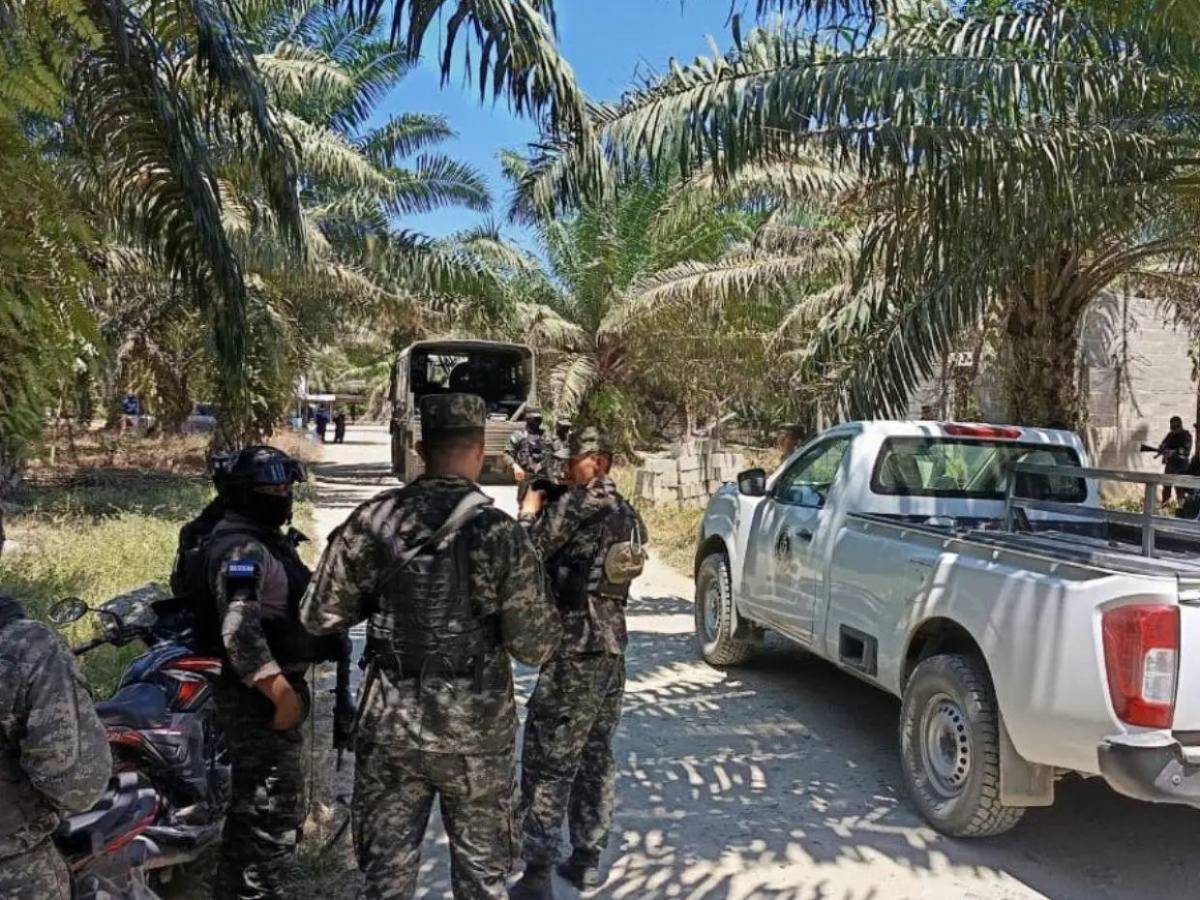 “Esa palma pareciera estar maldita”: relato de vecino tras brutal masacre en Colón