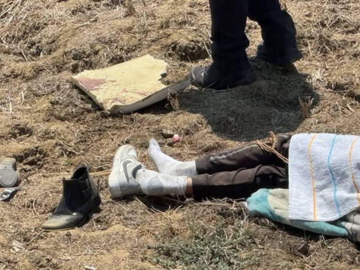 Trágico viaje a la playa en México: familia pierde la vida en accidente; hasta mascota murió