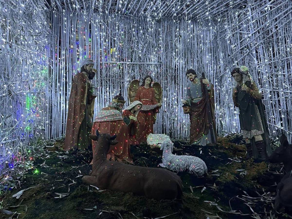 Horarios y lugares que puedes visitar con tu familia en esta Navidad y Año Nuevo Horarios y lugares que puedes visitar con tu familia en esta Navidad y Año Nuevo
