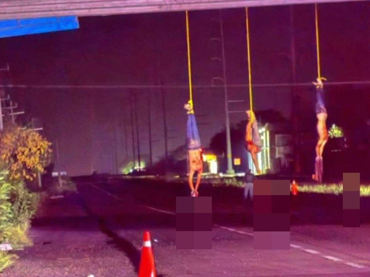 Con heridas de bala y hasta decapitados: el hallazgo de 20 cadáveres en Sinaloa
