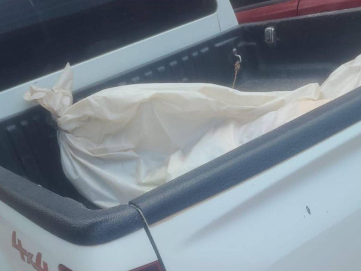 Tenía signos de estrangulamiento y su pareja fue detenida: avances en crimen de Norma Orellana