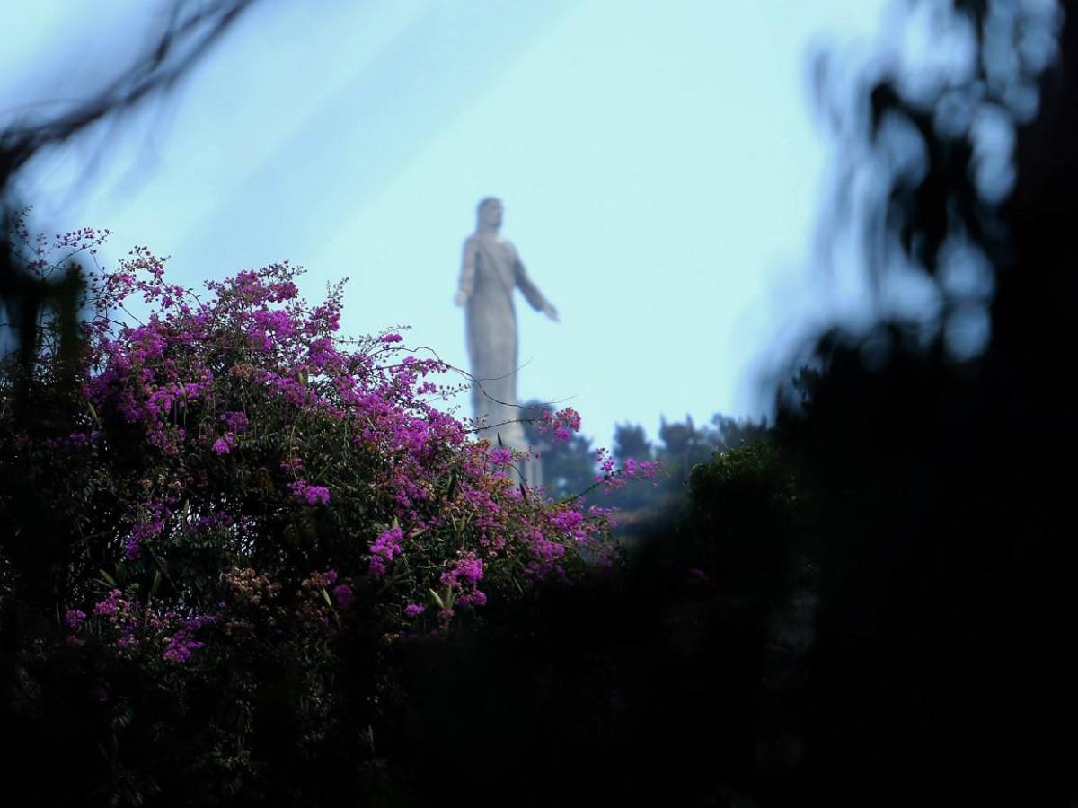 Los macuelizos con sus alegres colores embellecen la capital de Honduras