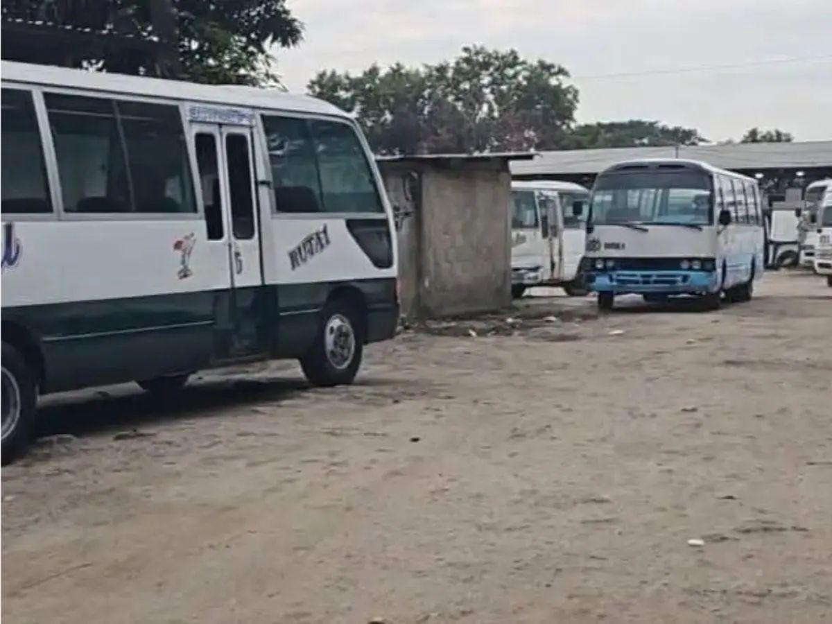 Supuesto miembro de la MS-13: Nelson Vargas, sospechoso de haber acribillado a conductor de bus en SPS