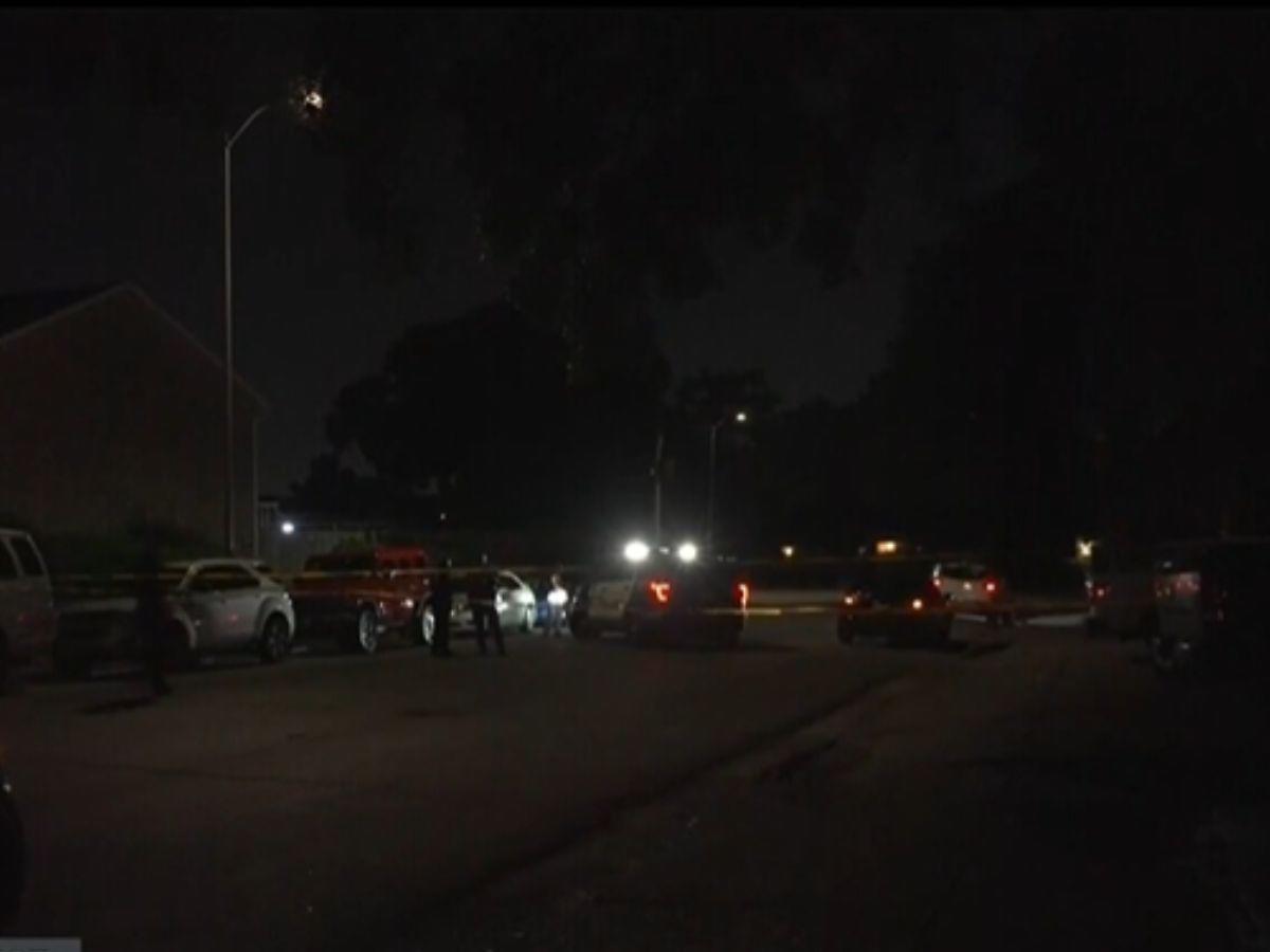 Muere niña de 2 años tras ser atropellada accidentalmente en Houston