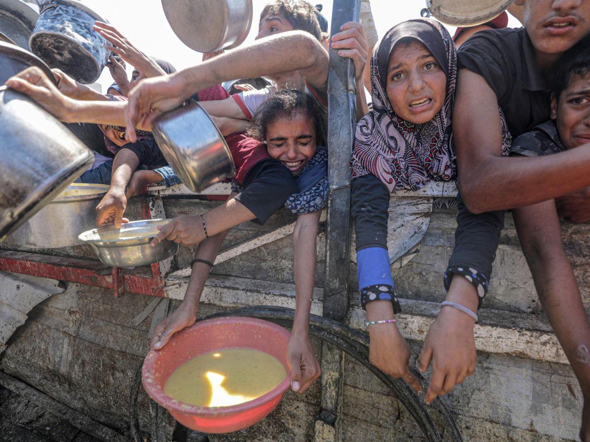 Desesperación y hambre: la lucha de los palestinos por conseguir comida en Gaza