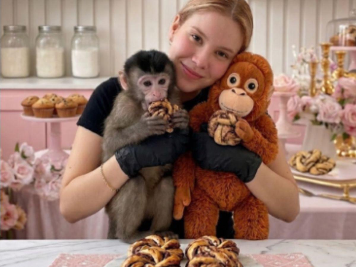 Grupo armado la sacó de su reposteria: hallan con vida a influencer Carmiña Castro en Sinaloa