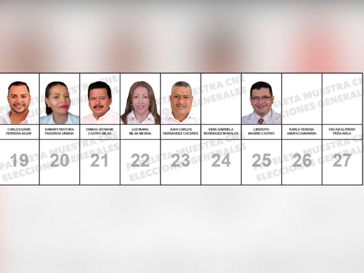 ¿Quiénes son los candidatos a diputados por el PINU-SD, de Nelson Ávila?