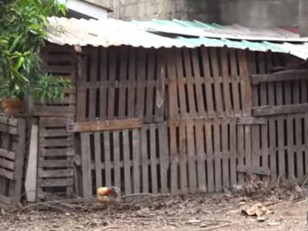 Su amigo lo mató, lo enterró y luego fingió buscarlo: caso de Joel en SPS