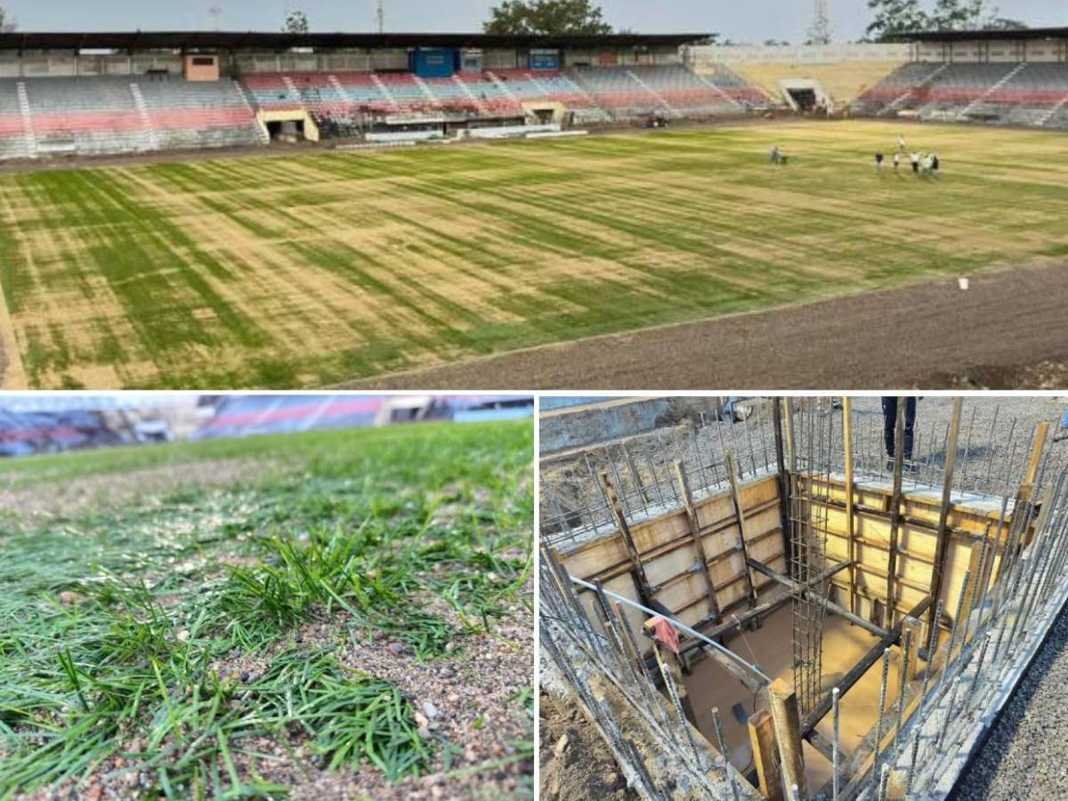 Así avanzan los trabajos de la nueva grama híbrida del estadio Ceibeño Así avanzan los trabajos de la nueva grama híbrida del estadio Ceibeño