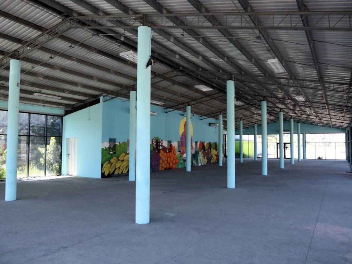 Desolada y sin avances: así luce la abandonada terminal de buses de Perisur