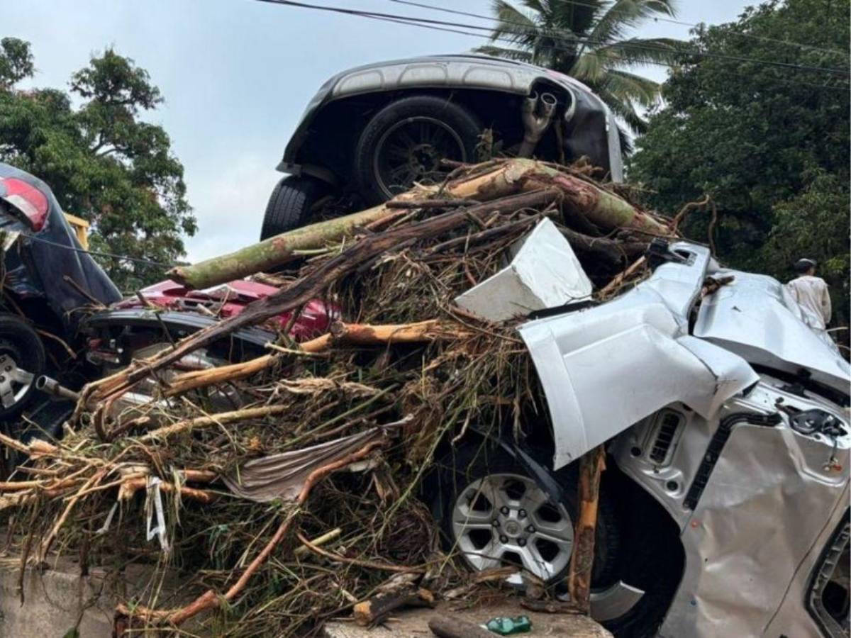 No vi esto ni en el Mitch: más de 15 carros arrastrados y casas derrumbadas en Río Abajo