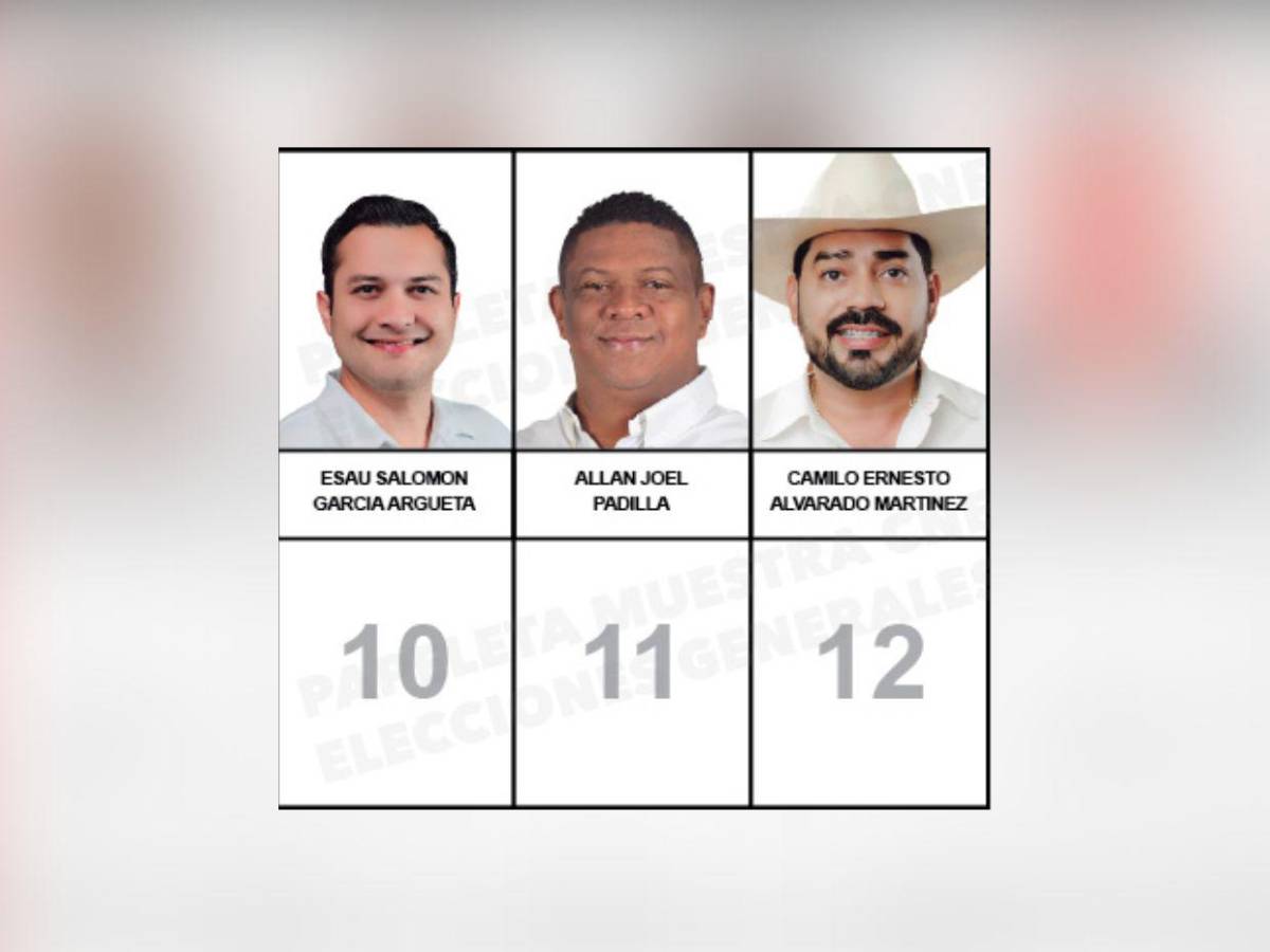 Diputados que buscan reelección y nuevos aspirantes integran la papeleta del Partido Liberal