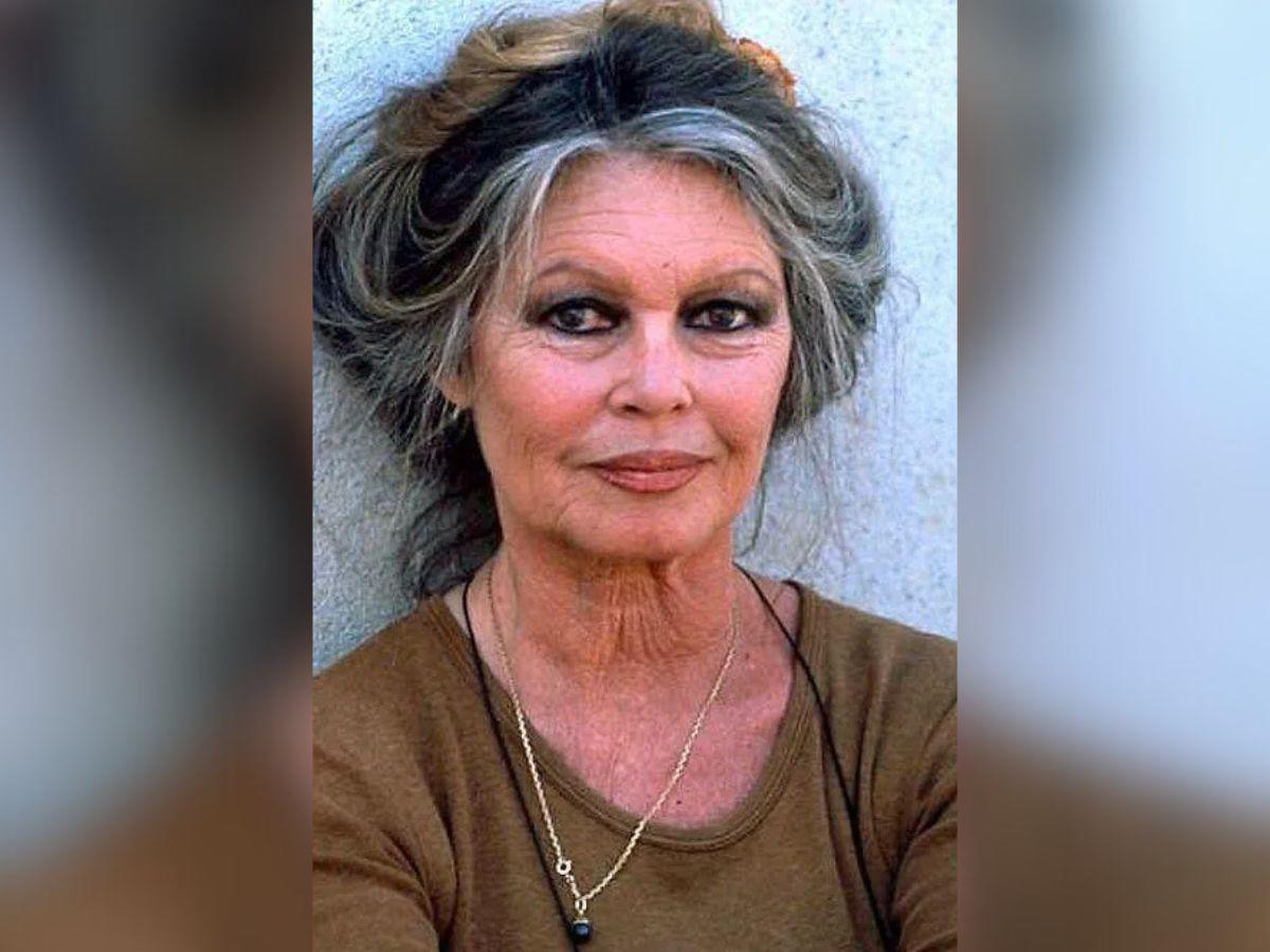 Antes y después de Brigitte Bardot: del ícono del cine a defensora de los animales