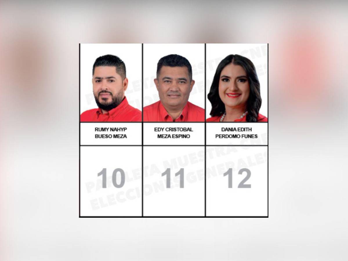 Diputados que buscan reelección y nuevos aspirantes integran la papeleta del Partido Liberal