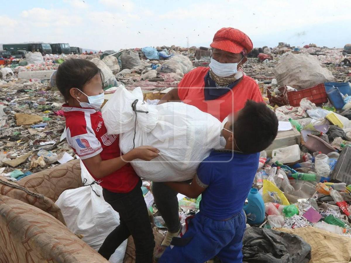 4 de cada 10 menores que trabajan tienen entre 5 y 9 años: las crudas cifras del trabajo infantil en Honduras