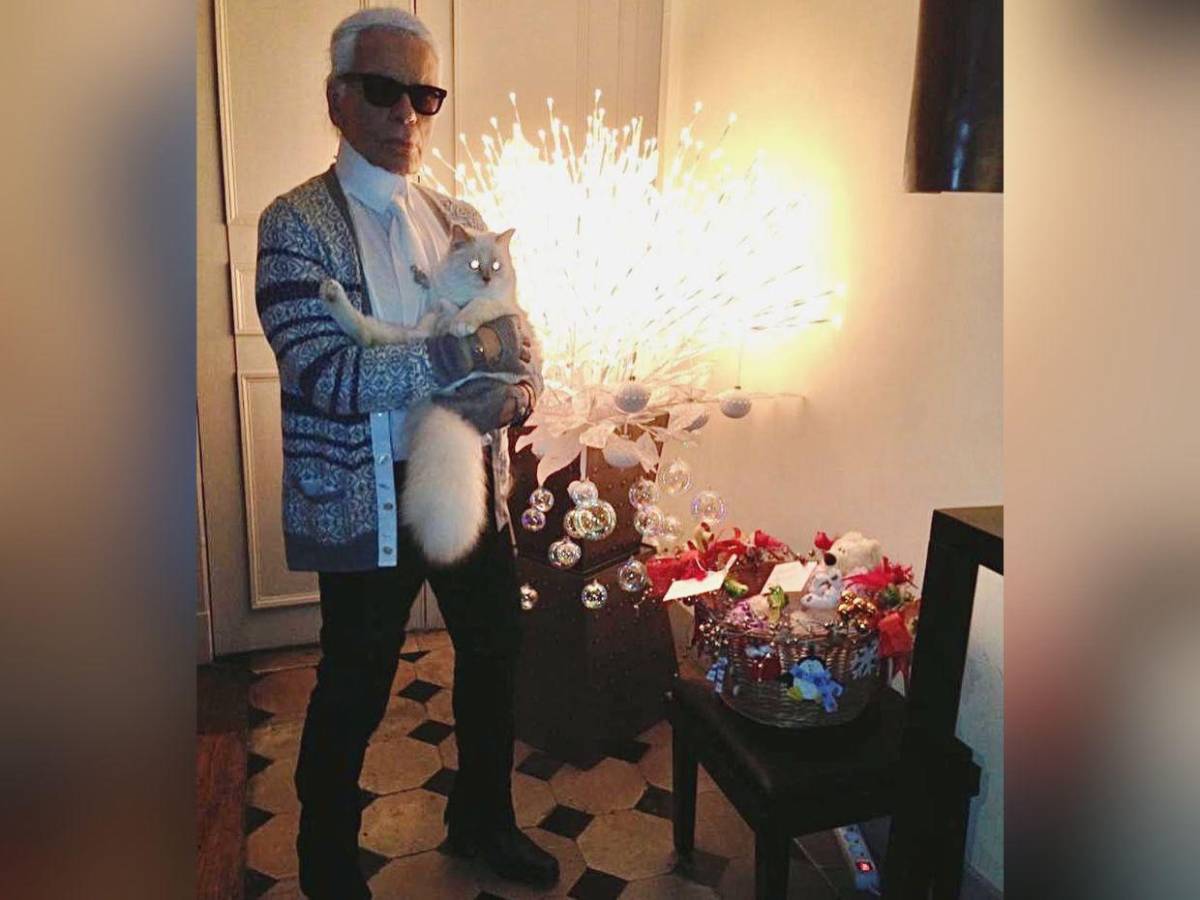 Choupette, la gata de Karl Lagerfeld, aún no recibe su millonaria herencia