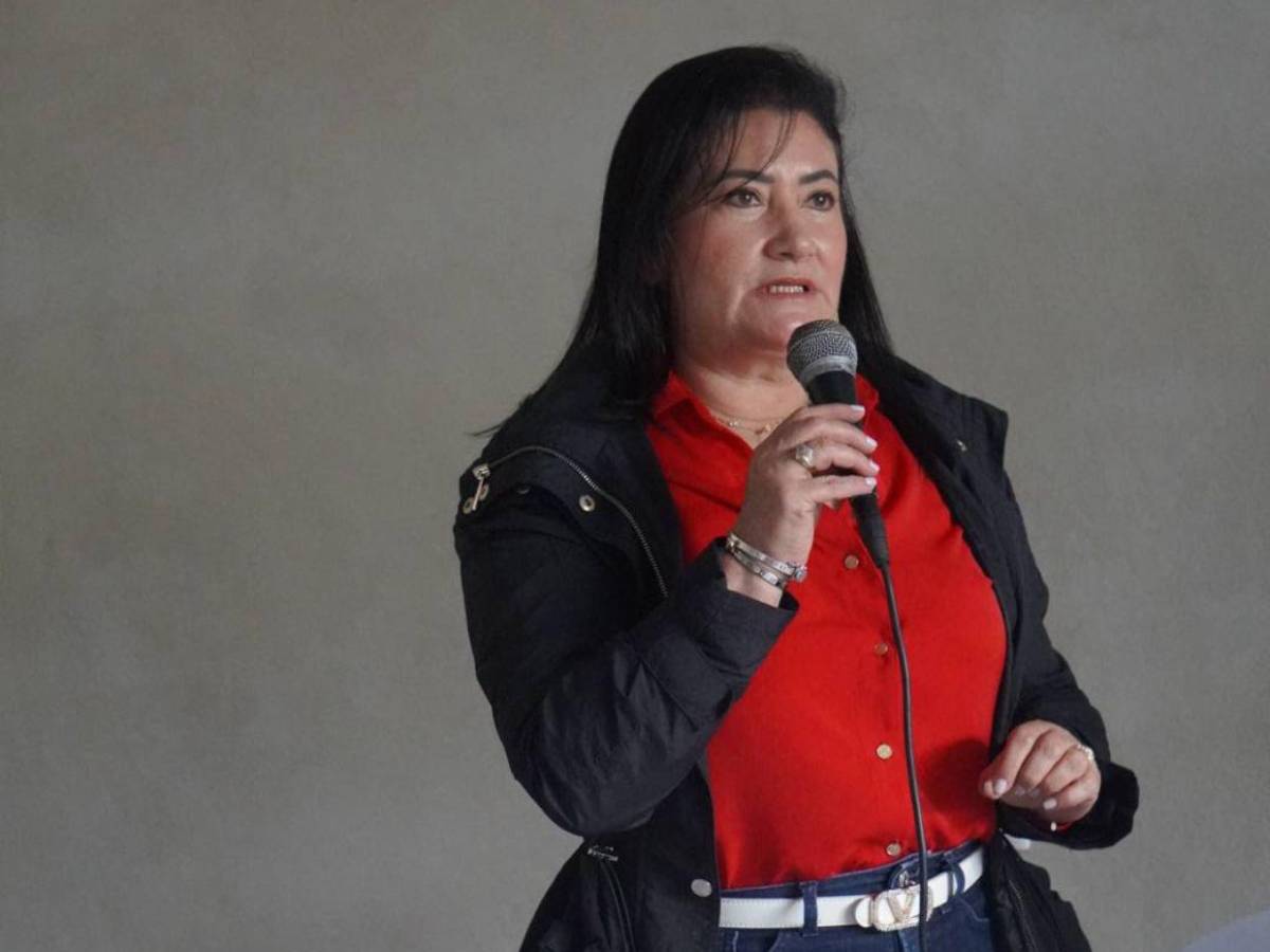 Los diputados más longevos que integrarán el Congreso Nacional 2026-2030