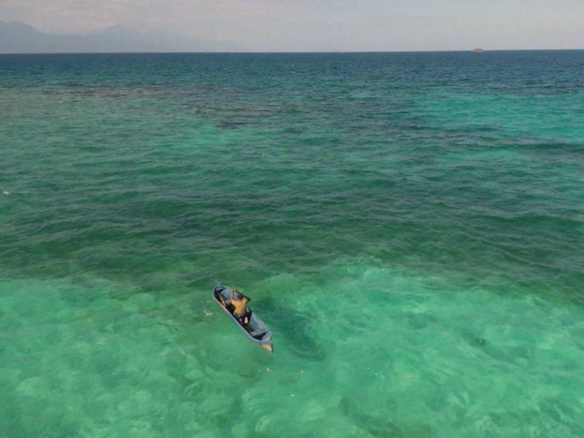 Animación y drama: Estos son los cortos para ver este sábado en el MIN