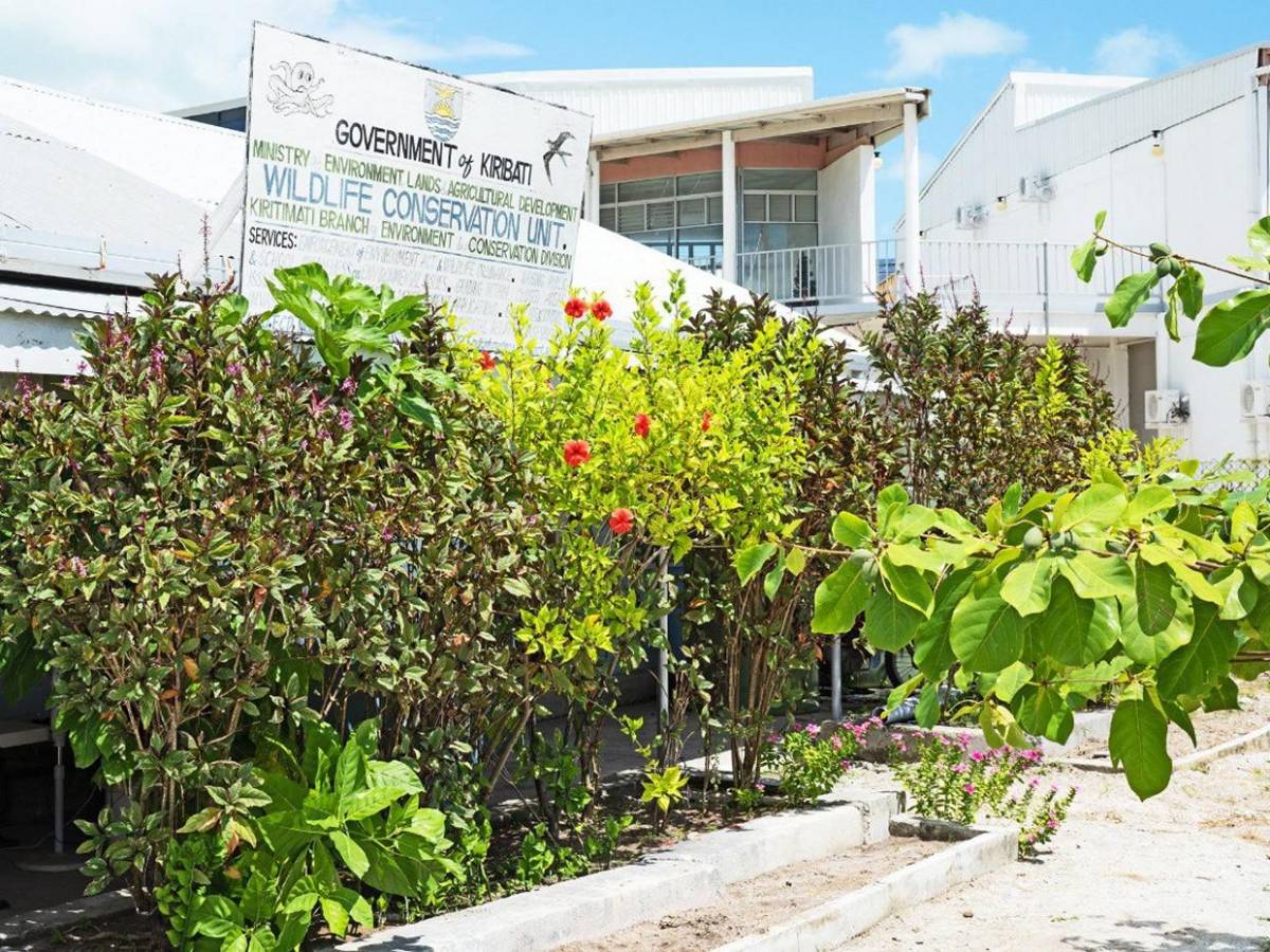 ¿Qué país del mundo recibe primero el Año Nuevo 2026 y por qué?