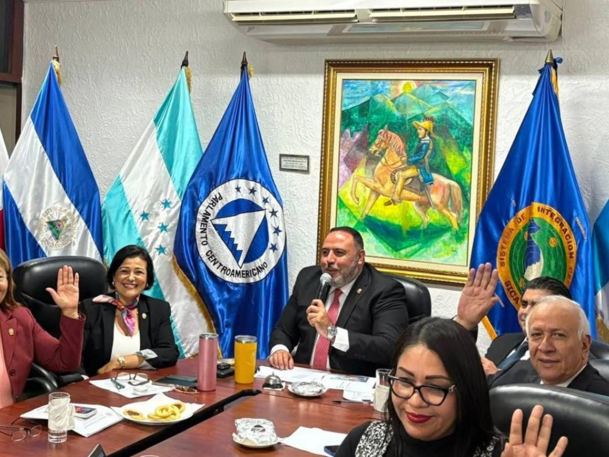 ¿Quiénes son los políticos de Honduras en el Parlacen y cuánto ganan?