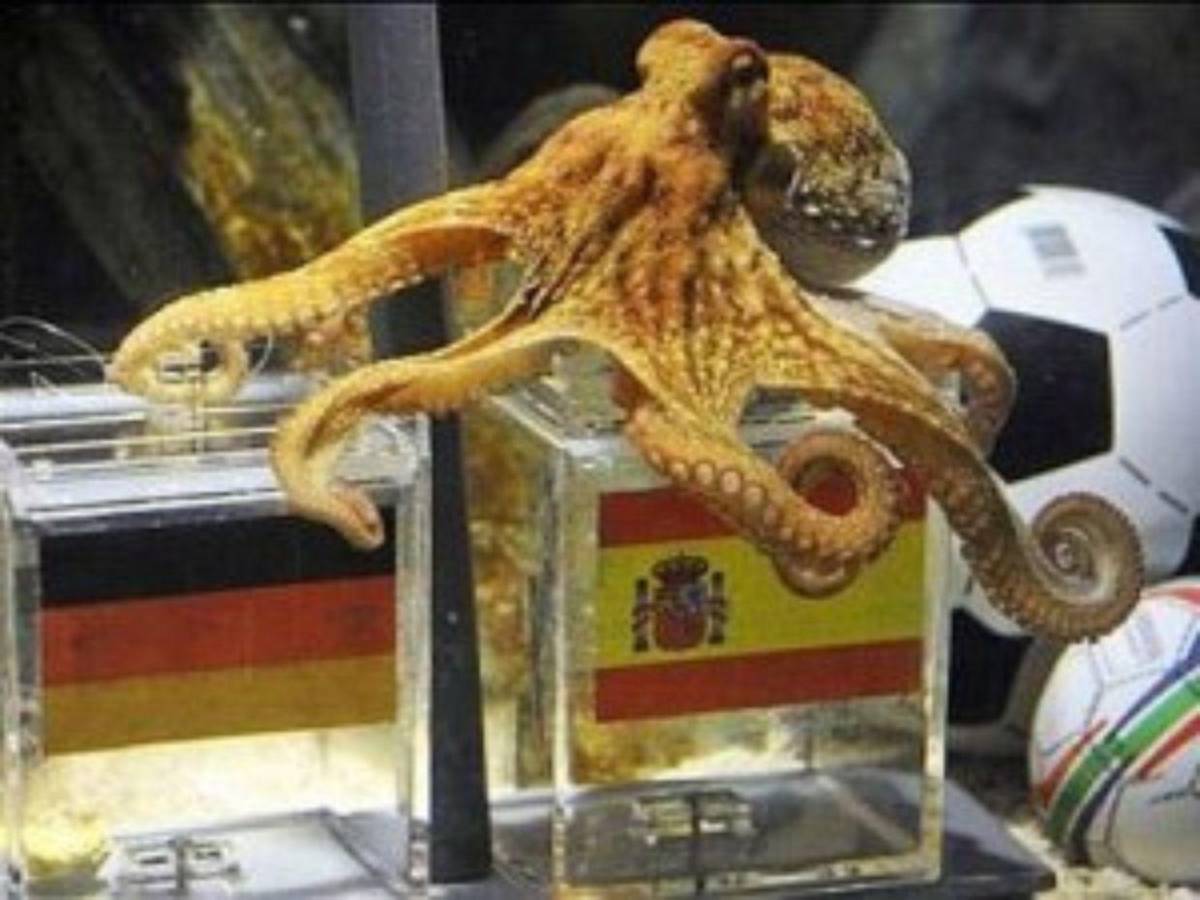 De los pulpos a los algoritmos: la inteligencia artificial elige al campeón del Mundial 2026
