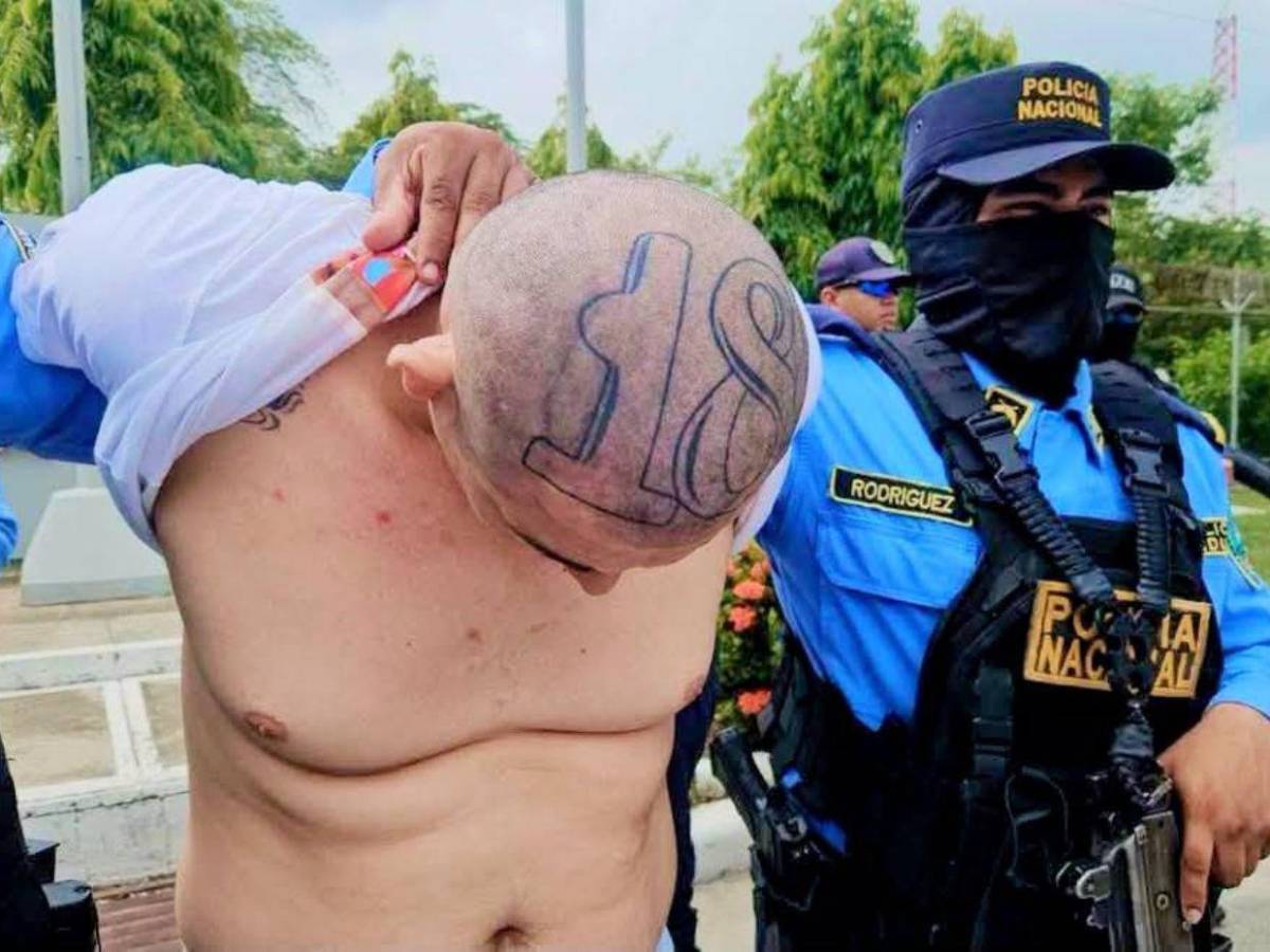 CN busca aprobar que tatuajes de maras y pandillas sirvan de prueba en su contra