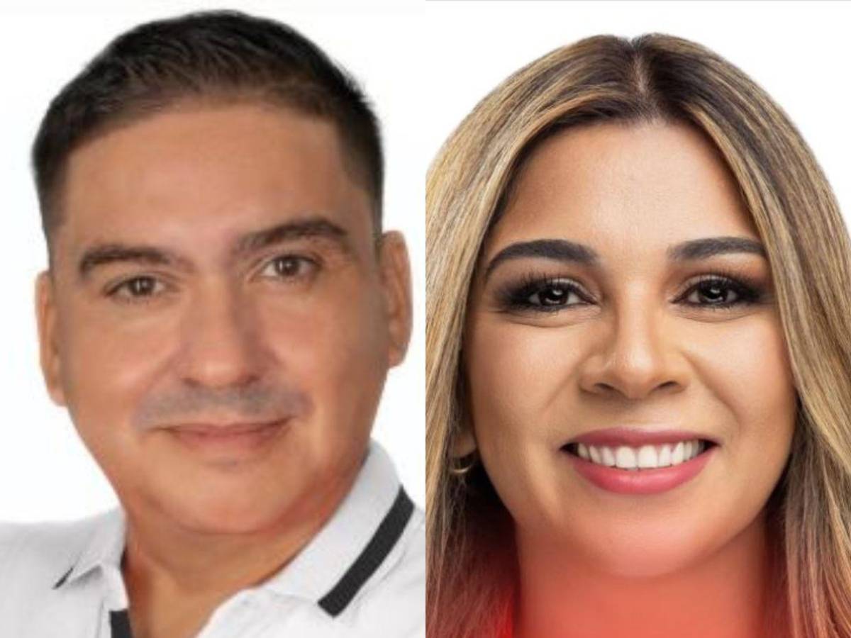 Diputados de Libre que buscan ser reelectos en las primarias del 9 de marzo