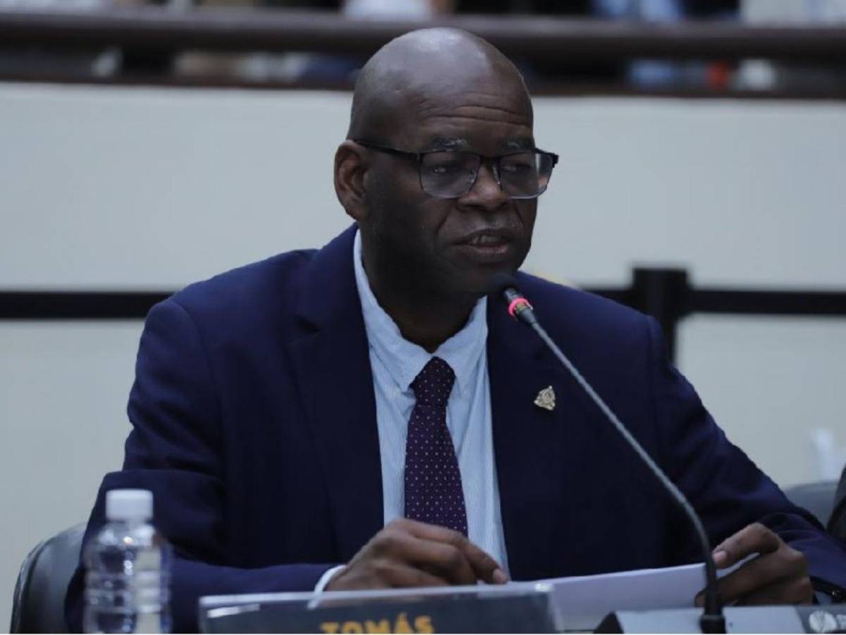 ¿Quiénes son los diputados de la comisión que investigará la renuncia de Ana Paola Hall?