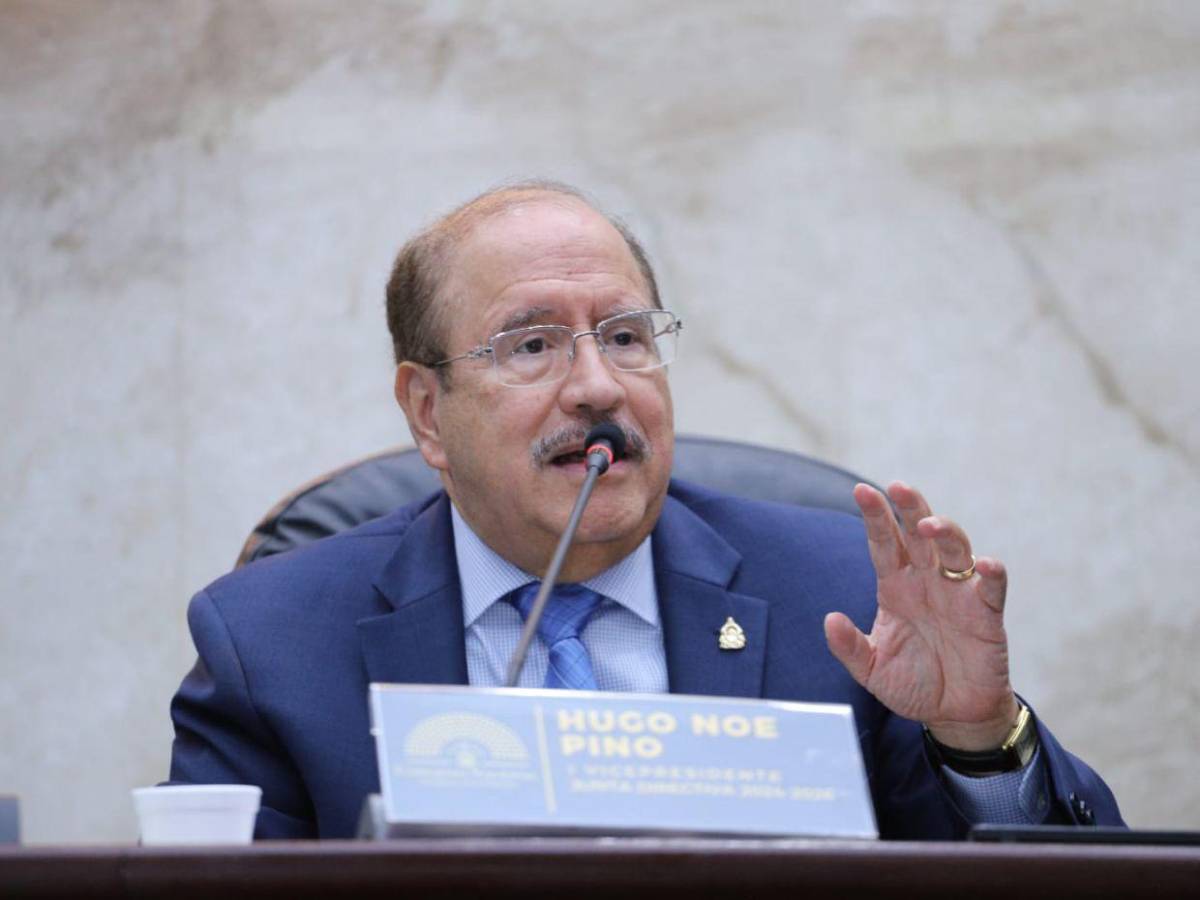 Los diputados más longevos que integrarán el Congreso Nacional 2026-2030