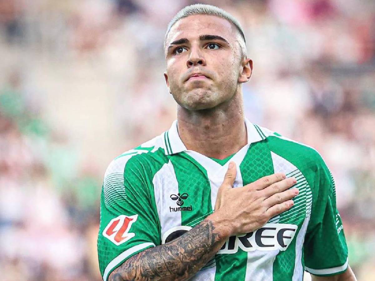 Fichajes: Real Madrid suma alta, plan del Bayern con Olise y Julián Álvarez tendría nuevo destino