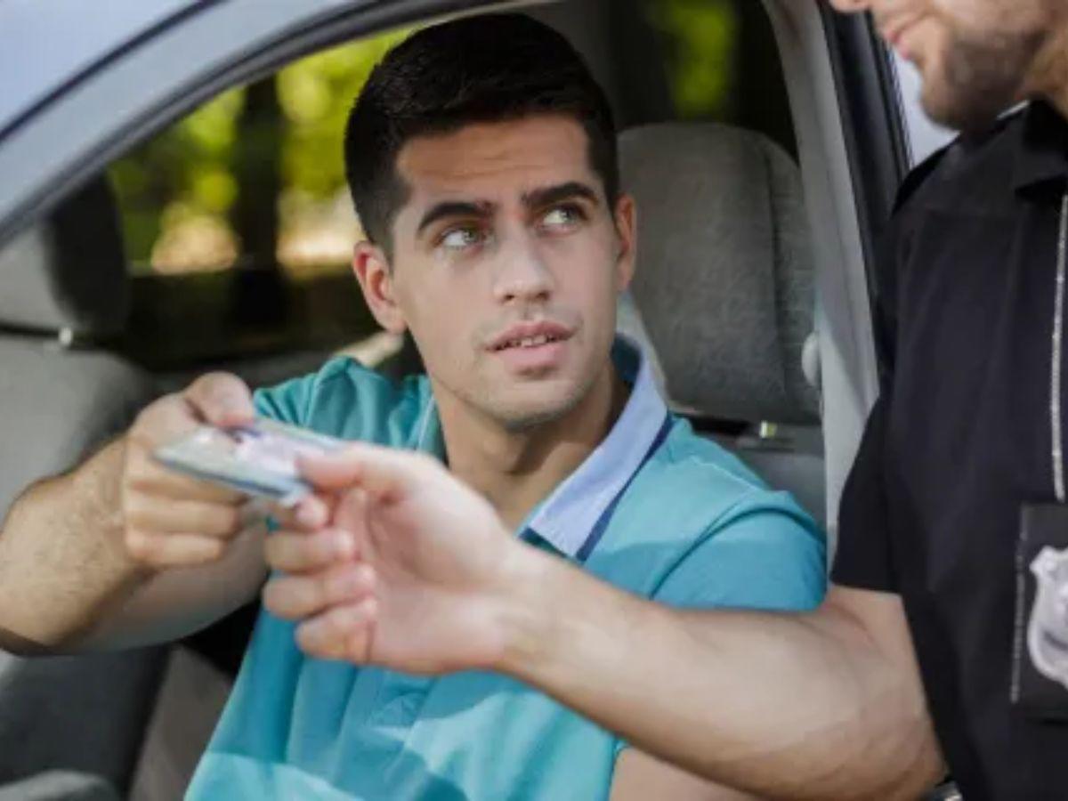 Inmigrantes indocumentados pueden manejar legalmente en este estado, aquí los requisitos