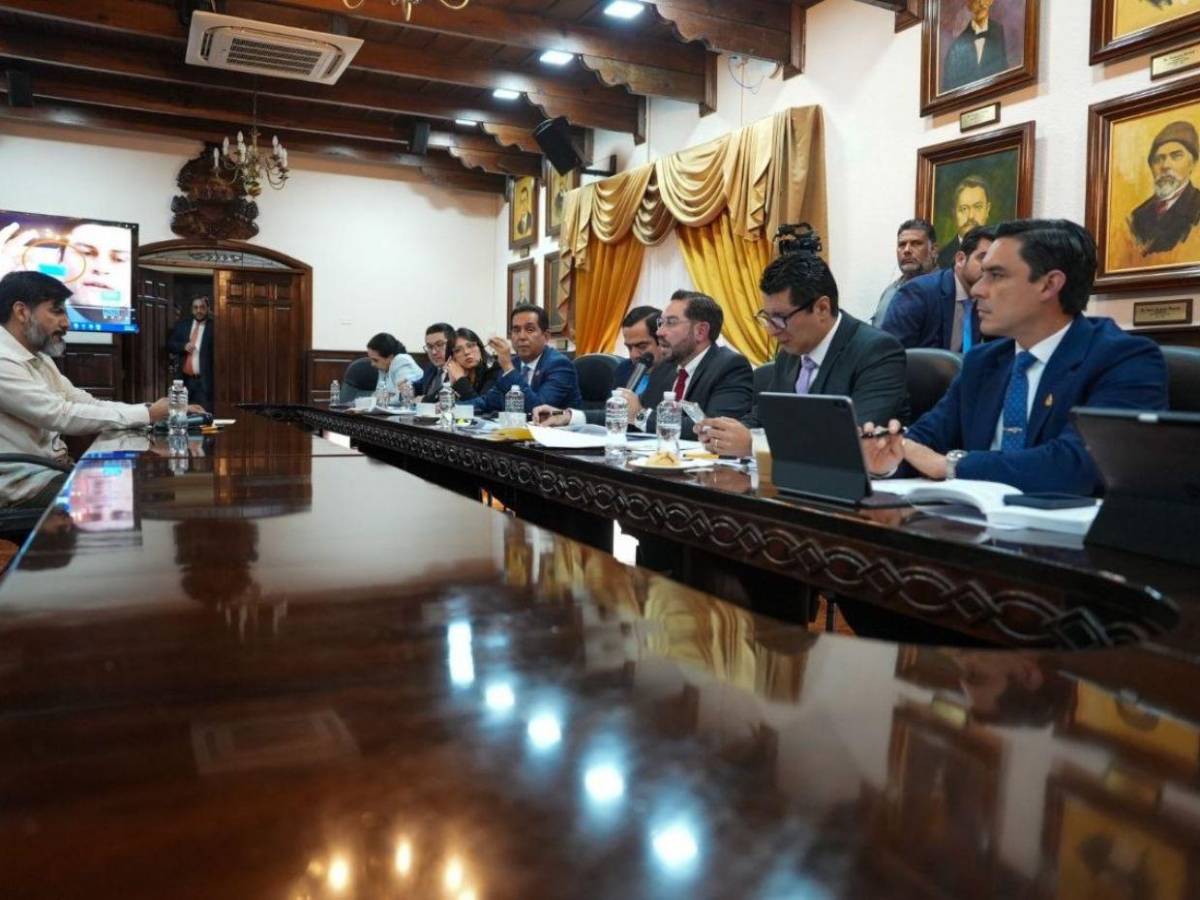 Estos fueron los puntos clave de la comparecencia de Johel Zelaya en el Congreso