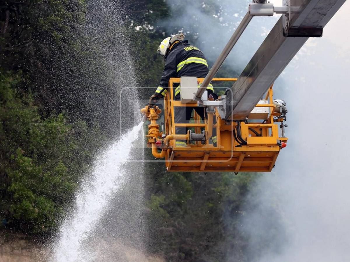 Grúas, tractores y helicóptero: el amplio despliegue de equipo pesado empleado tras derrumbe en la capital