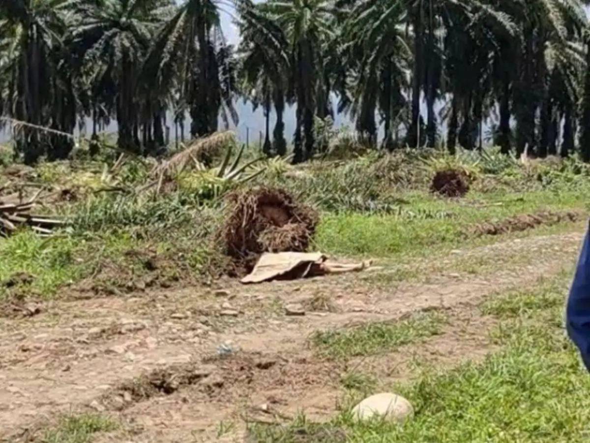 Iba a salir en un en vivo: madre revela últimas palabras de Katherine Mejía antes de su desaparición
