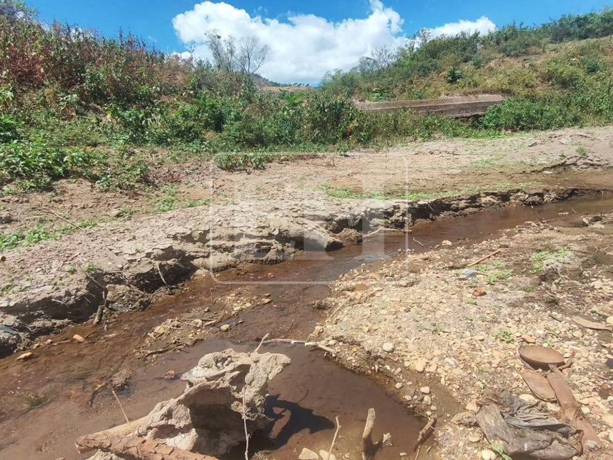 Como un hilo de agua: así está este 7 de septiembre el río Guacerique que agoniza por la sequía