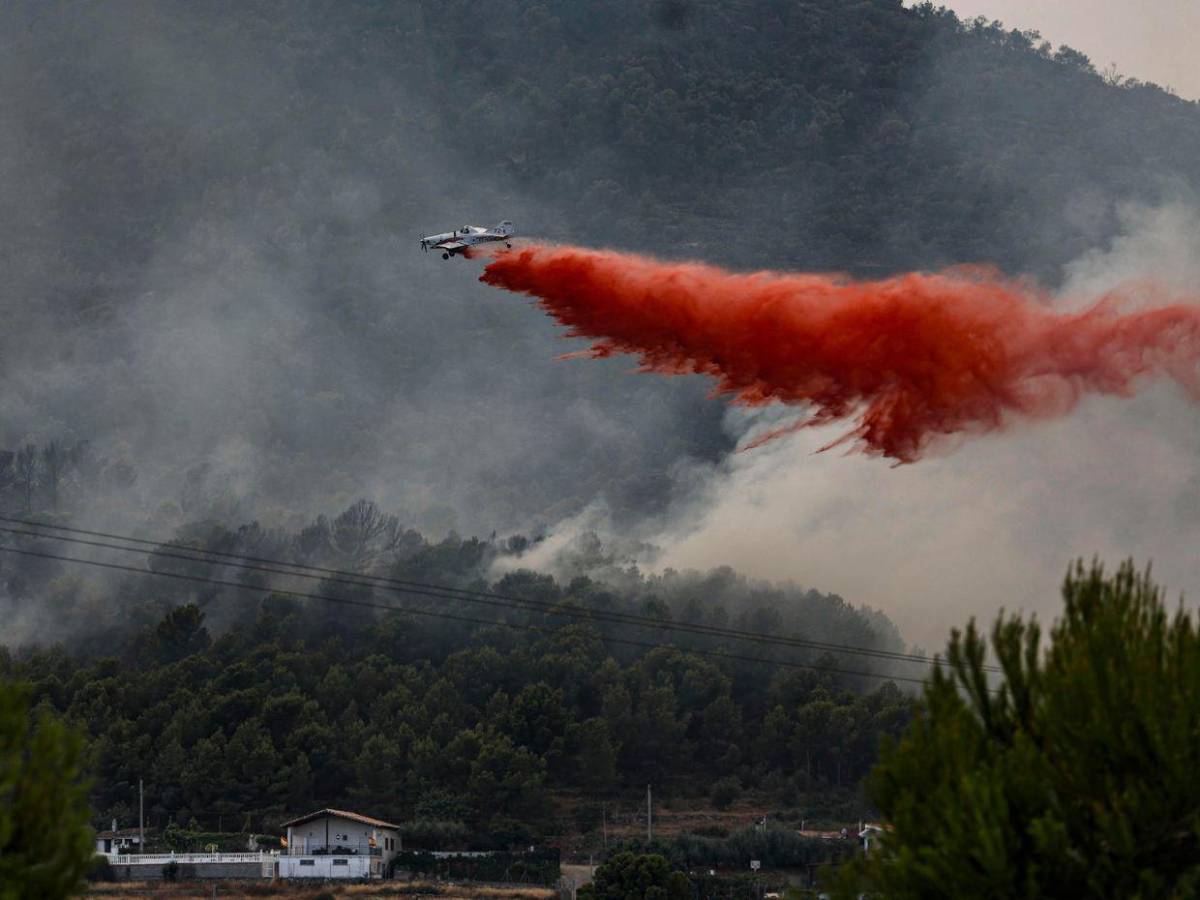 160 kilómetros de destrucción: el paisaje negro del peor incendio de la historia de España