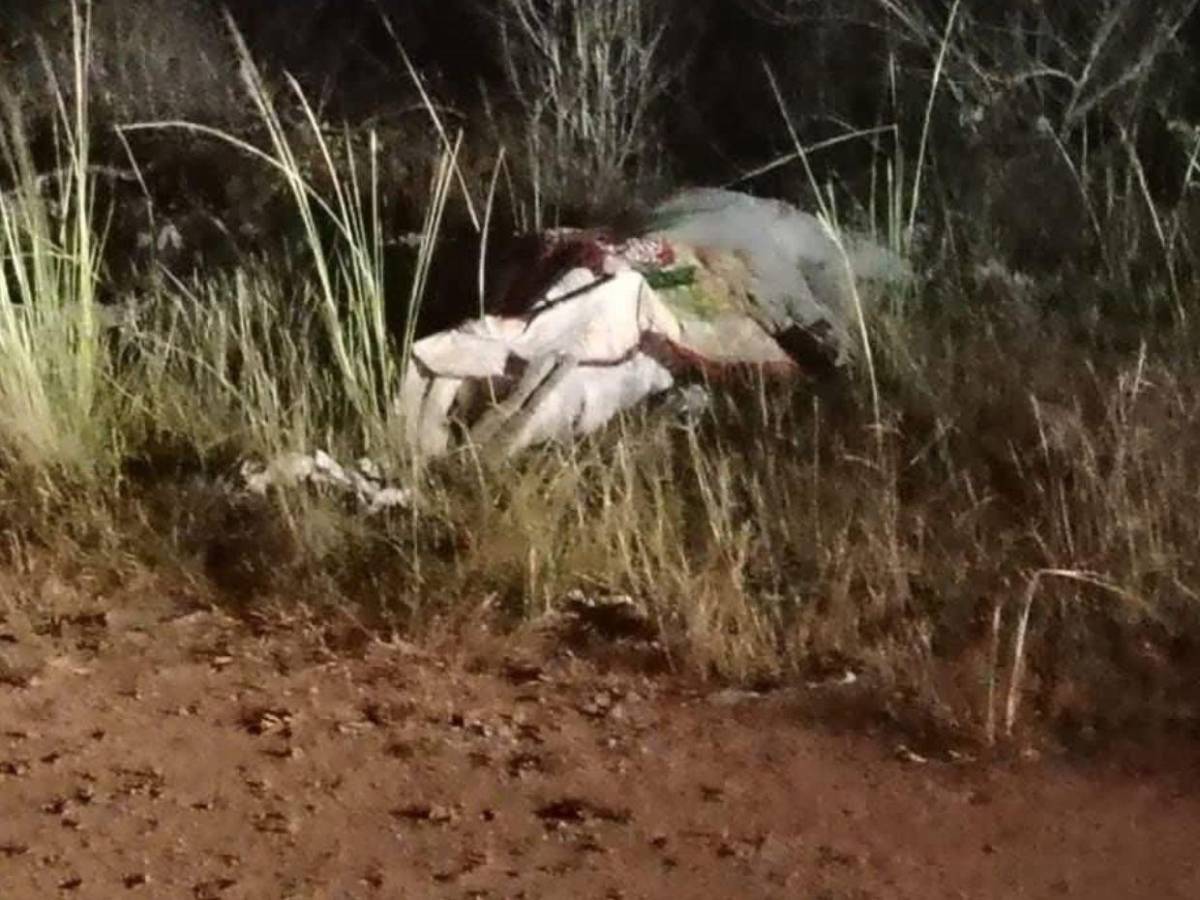 Por venganza: Capturan implicado de muerte de doctor, sobrino Ricardo Salgado