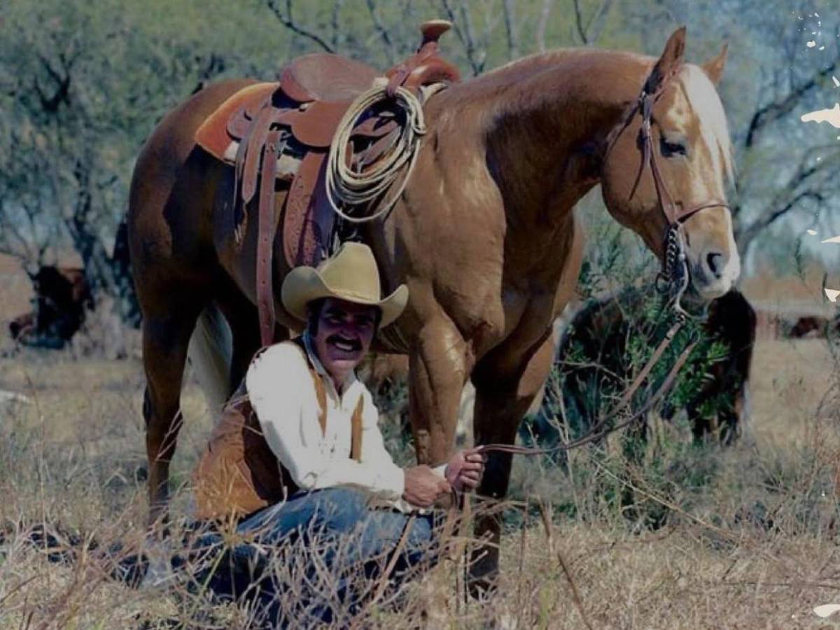 La trágica historia real detrás de Un millón de primaveras, el éxito de Vicente Fernández