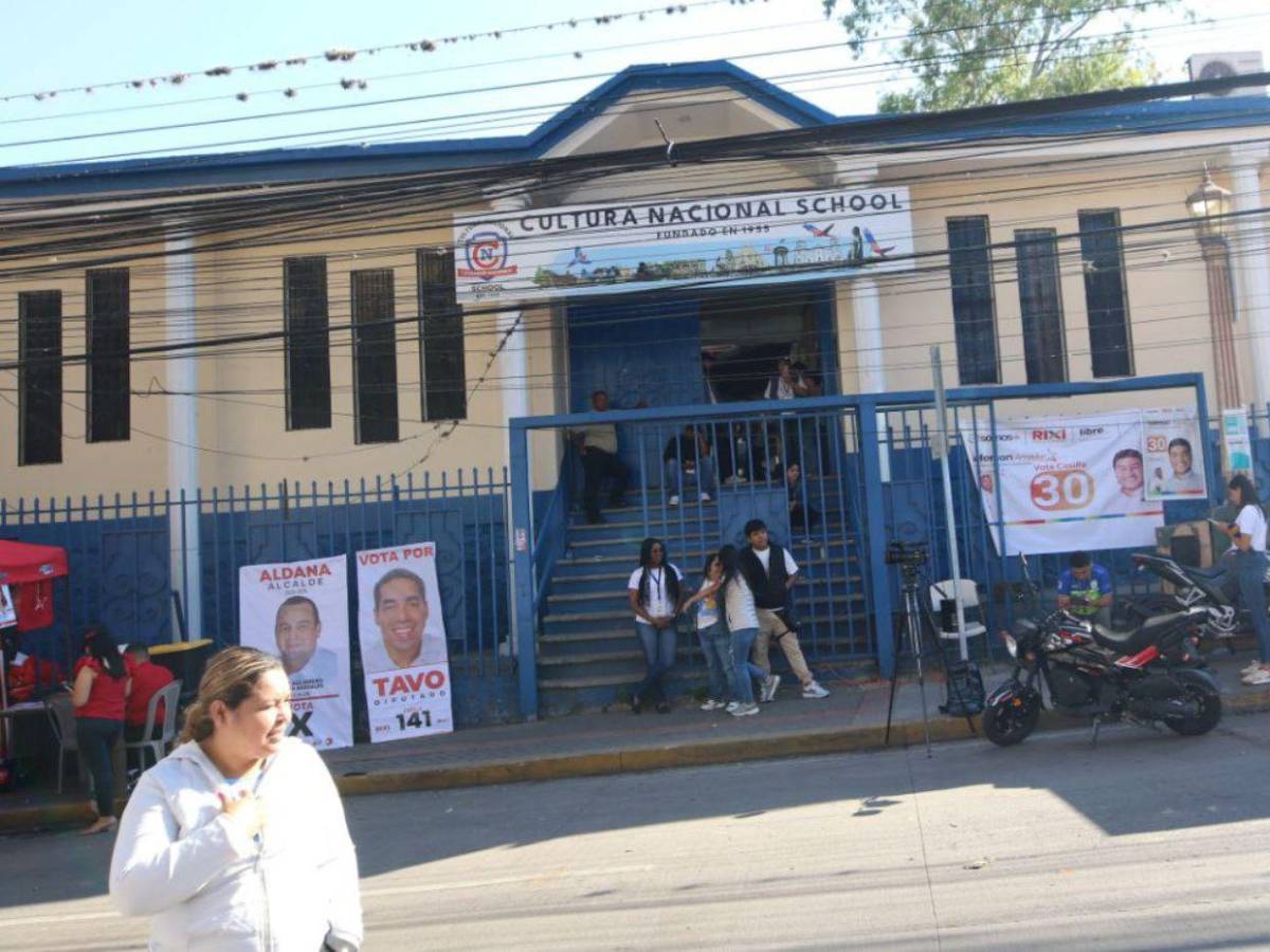 Electores, activistas enérgicos y seguridad: ambiente en proceso electoral