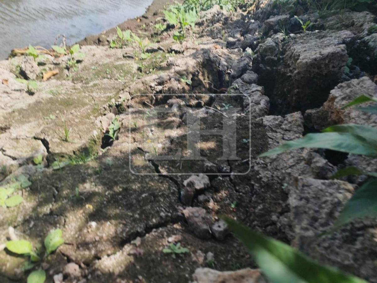 Como un hilo de agua: así está este 7 de septiembre el río Guacerique que agoniza por la sequía